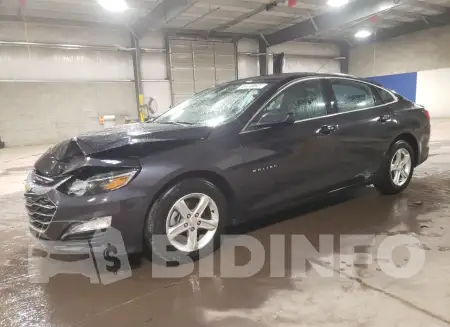 1G1ZD5ST5PF166806