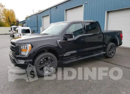 1FTFW1ED9MFB59869