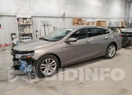 1G1ZD5ST3JF184244