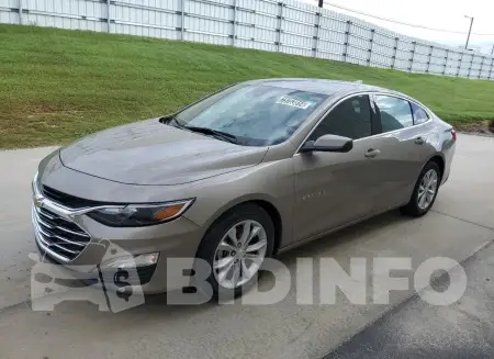 1G1ZD5ST7PF178214