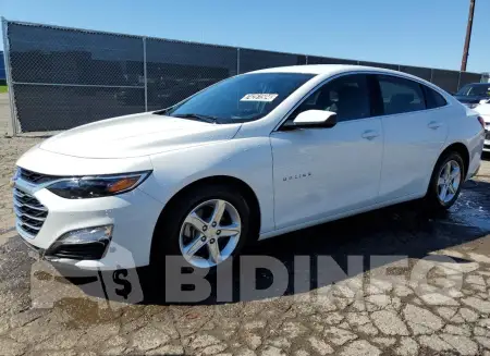 1G1ZD5ST6PF166717