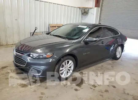 1G1ZD5ST5JF184987
