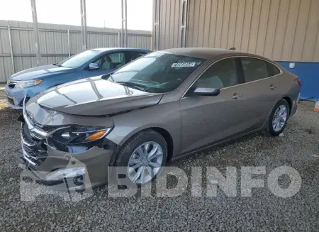 1G1ZD5ST6PF190516
