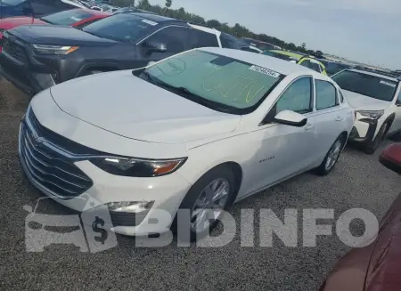 1G1ZD5ST6KF189925