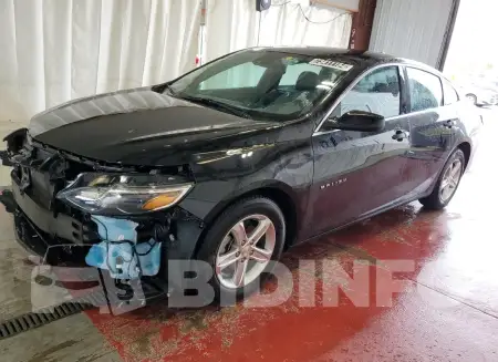 1G1ZD5ST6PF177216