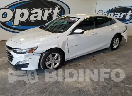 1G1ZD5ST7PF201717