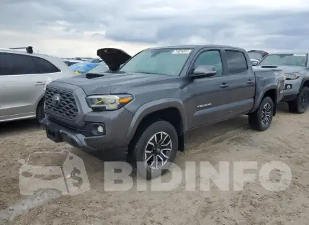 3TMCZ5AN0PM583431