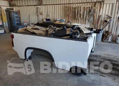 BS81639404