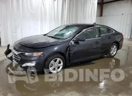1G1ZD5ST5PF206124