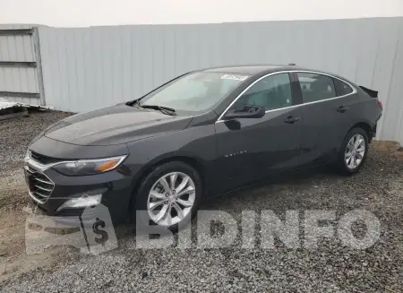 1G1ZD5ST8PF219238