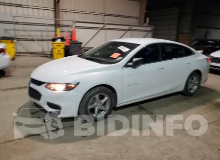 1G1ZB5ST4JF191046
