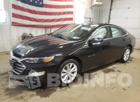 1G1ZD5ST6PF246311