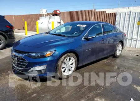 1G1ZD5ST6NF191713
