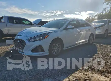 5NPE34AF0JH649308