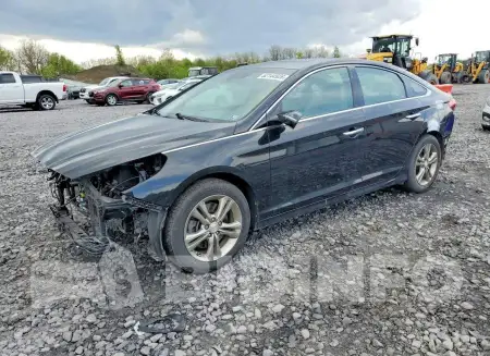 5NPE34AF0KH768980