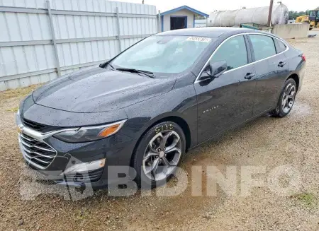 1G1ZD5ST4PF131481