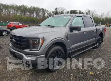 1FTFW1ED5PFB87981