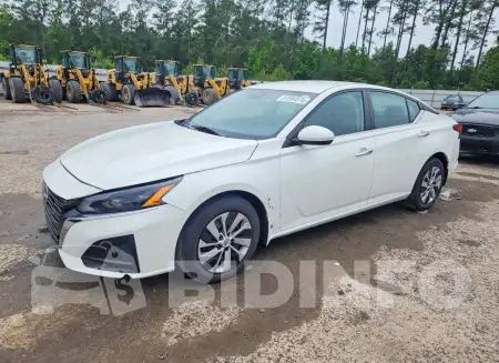 1N4BL4BV6PN301018