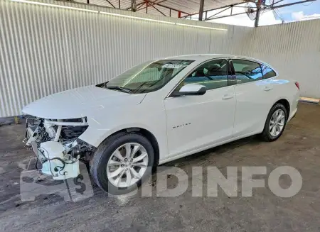1G1ZD5ST2PF169517