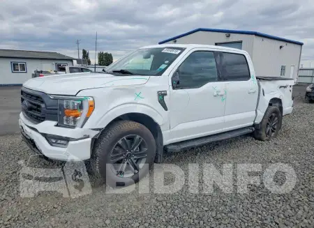 1FTEW1EP3MFB81646