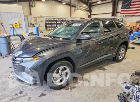 5NMJBCAE8PH203755
