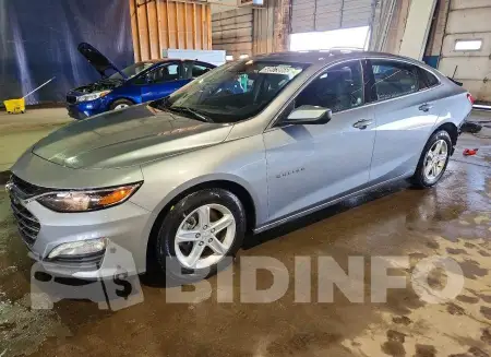 1G1ZD5ST4RF161809