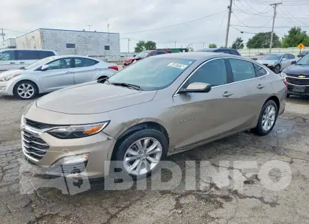 1G1ZD5ST6RF170981