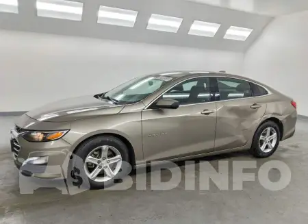 1G1ZD5ST7PF175989