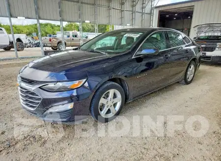 1G1ZD5ST4PF174704