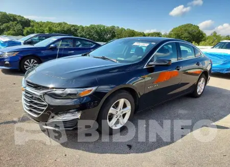 1G1ZD5ST5PF166871