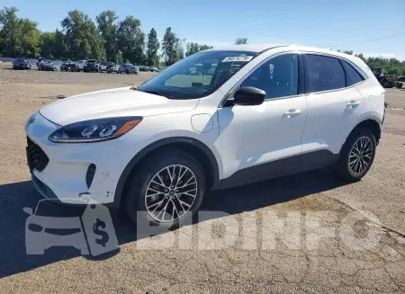 1FMCU0EZ3NUA18982