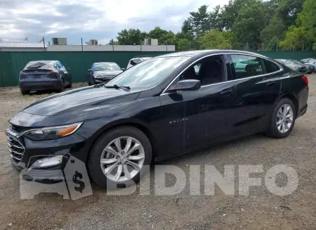 1G1ZD5ST8PF131743