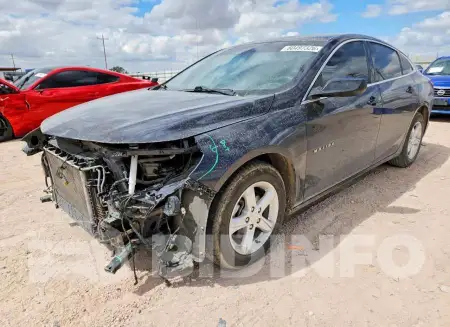 1G1ZD5ST7PF186491