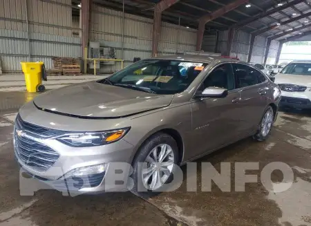 1G1ZD5ST9RF173003