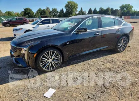 1G6DS5RW9S0109983
