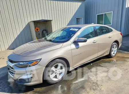 1G1ZD5ST9PF175881