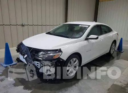 1G1ZD5ST5SF142501