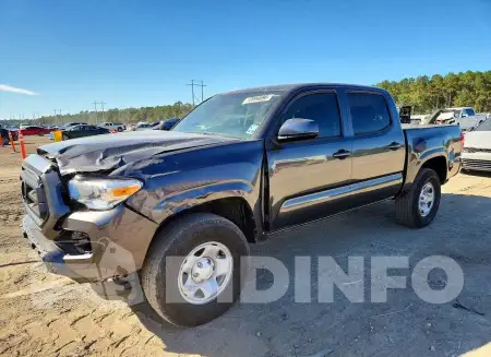 3TYCZ5ANXPT141602