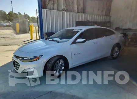 1G1ZD5ST5KF201207