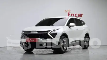 KNAPV81CBNK093266