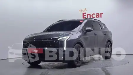KNAPV81BDTK503322