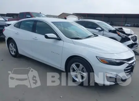 1G1ZD5ST8RF178161