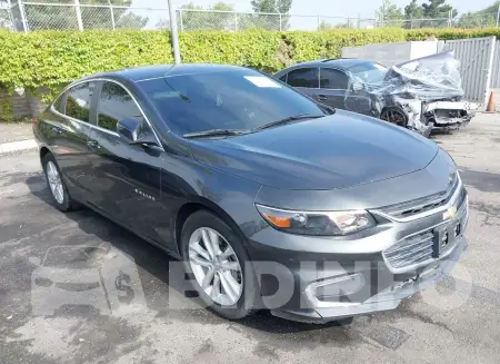 1G1ZD5ST4JF166318