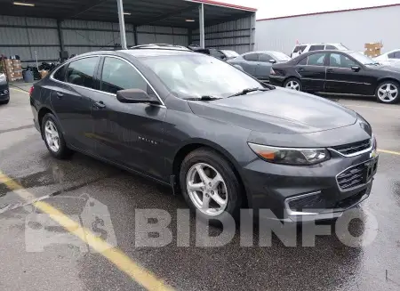 1G1ZB5ST6HF193679