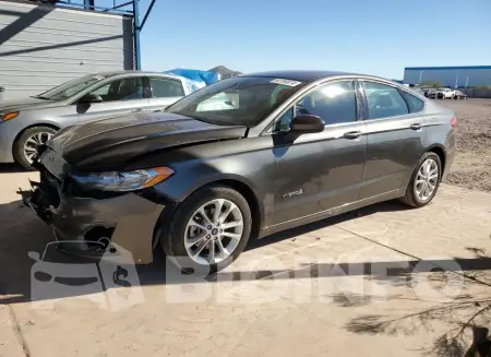 3FA6P0LU9KR196534