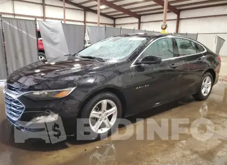 1G1ZD5ST1PF216987