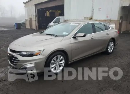 1G1ZD5ST8RF171890