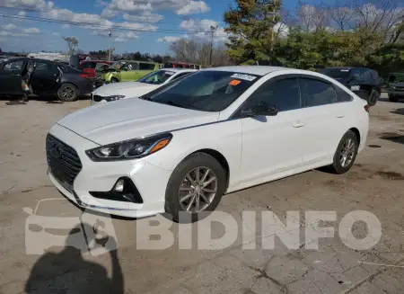 5NPE24AF4KH785445