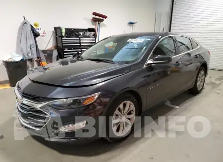 1G1ZD5ST3PF186973