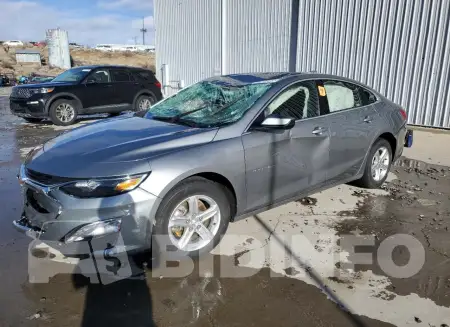 1G1ZD5ST2PF169243